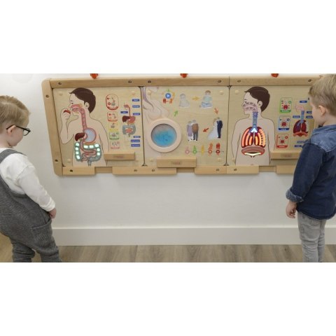 MASTERKIDZ Tablica Edukacyjna Układ Trawienny Masterkidz MASTERKIDZ Tablica Edukacyjna Układ Trawienny Masterkidz