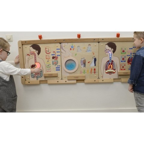 MASTERKIDZ Tablica Edukacyjna Układ Trawienny Masterkidz MASTERKIDZ Tablica Edukacyjna Układ Trawienny Masterkidz