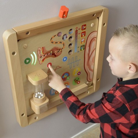 Tablica Edukacyjna do nauki Zmysł Słuchu Masterkidz Tablica Edukacyjna do nauki Zmysł Słuchu Masterkidz
