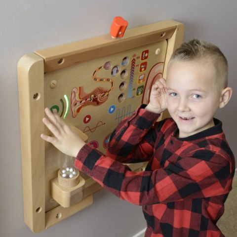 Tablica Edukacyjna do nauki Zmysł Słuchu Masterkidz Tablica Edukacyjna do nauki Zmysł Słuchu Masterkidz