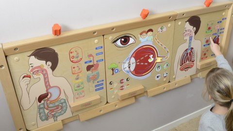 MASTERKIDZ Tablica Edukacyjna Układ Oddechowy Masterkidz