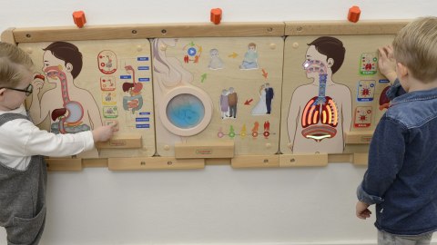 MASTERKIDZ Tablica Edukacyjna Układ Oddechowy Masterkidz