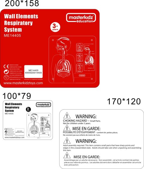 MASTERKIDZ Tablica Edukacyjna Układ Oddechowy Masterkidz