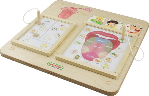MASTERKIDZ Tablica Edukacyjna Zmysł Wzroku Masterkidz