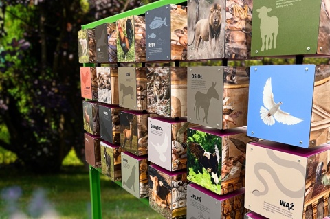 Biblijne Memory Gra Edukacyjna Biblia | Plac Zabaw | Przedszkole | Szkoła | Park