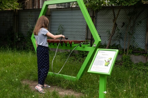 Duży Ksylofon na plac zabaw dla dzieci Instrument muzyczny outdoor | Nauka i Zabawa