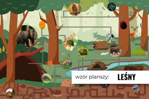 Duży Kulodrom Magnetyczny Edukacyjny na Plac Zabaw Dwustronny dla dzieci | Placówki Edukacyjne