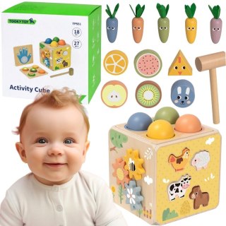 Drewniana Wiosenna Kostka Edukacyjna dla dzieci 5w1 TOOKY TOY