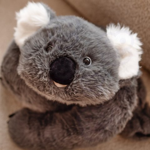 Pluszak Obciążeniowy Koala Antystresowy Sensoryczny Ciężkomiś Przytulanka 65cm 1500g