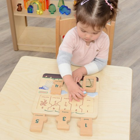 Edukacyjna Drewniana Tablica Cykl Życia Fasoli Szkoła Przedszkole MASTERKIDZ