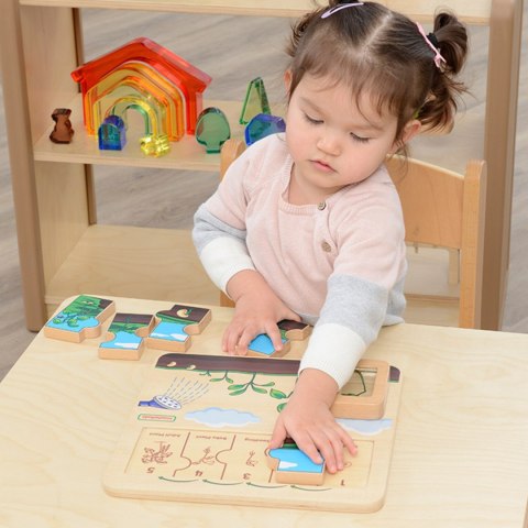 Edukacyjna Drewniana Tablica Cykl Życia Fasoli Szkoła Przedszkole MASTERKIDZ
