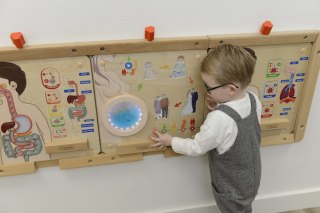Tablica Edukacyjna Cykl Życia Człowieka Montessori MASTERKIDZ