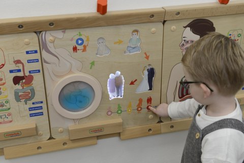 Tablica Edukacyjna Cykl Życia Człowieka Montessori MASTERKIDZ