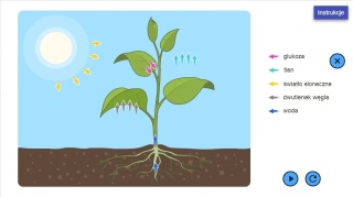 SZKOLNE LABORATORIA Biologia moduł: Materia i energia w ekosystemach - Zestaw edukacyjny do biologii | Szkoła podstawowa