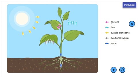 SZKOLNE LABORATORIA Biologia moduł: Materia i energia w ekosystemach - Zestaw edukacyjny do biologii | Szkoła podstawowa