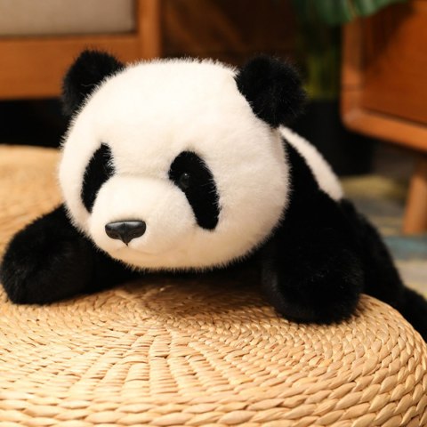 Panda terapeutyczny Miś Obciążeniowy Sensoryczny dla dzieci 2,5kg WOOPIE