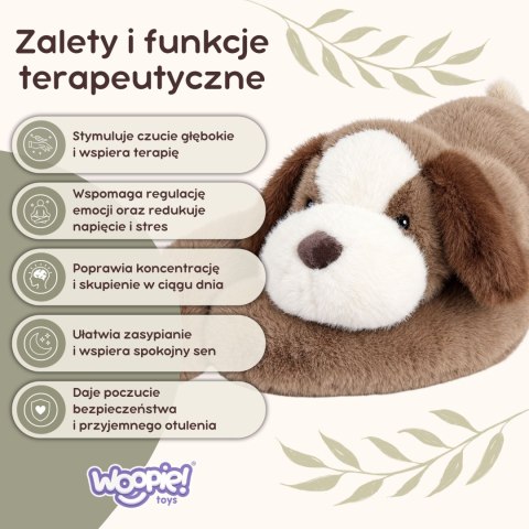 Piesek Sensoryczny Miś Obciążeniowy terapeutyczny Pluszak dla dzieci 2,5kg WOOPIE