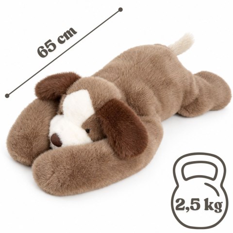 Piesek Sensoryczny Miś Obciążeniowy terapeutyczny Pluszak dla dzieci 2,5kg WOOPIE